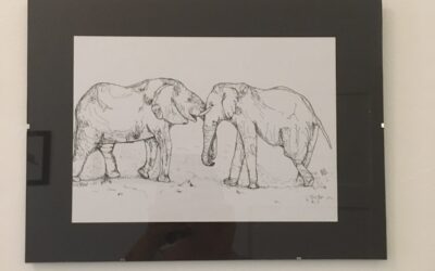 Ausstellung: Drawings/Connections