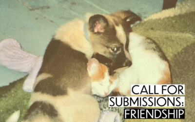 Call for submissions: Friendship 🧚🧞‍♂️