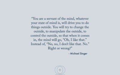 Have you listened to the eye-opening Michael Singer Podcast yet?