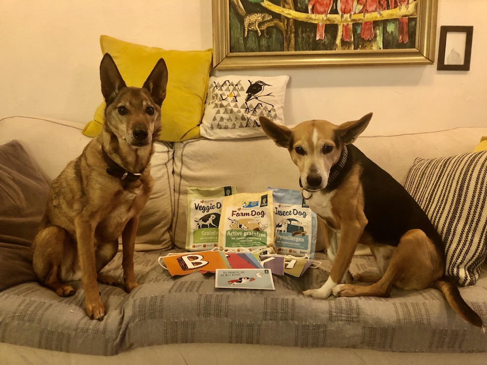 Green Petfood Sample Set with Dogs
