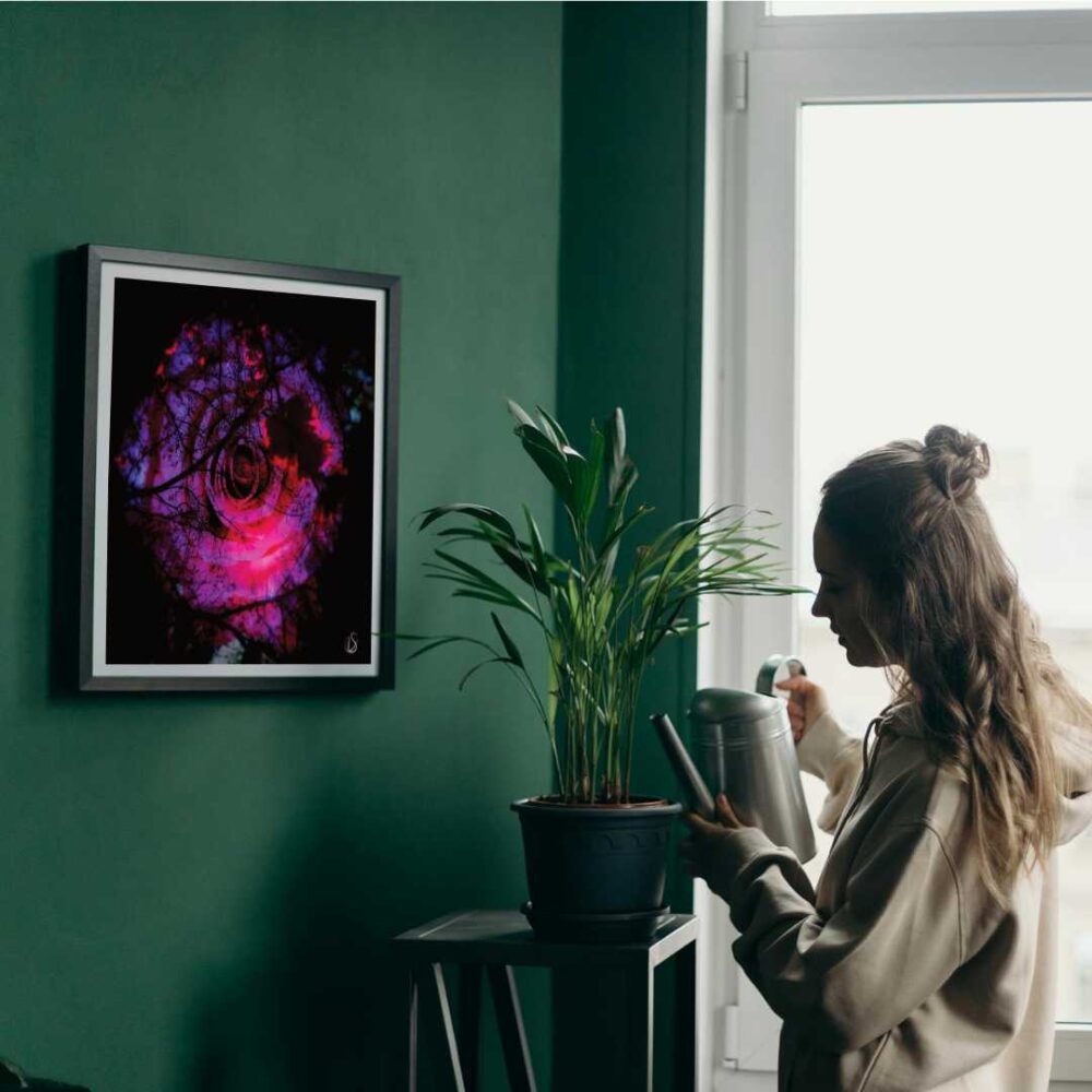Black - Reflection Poster
